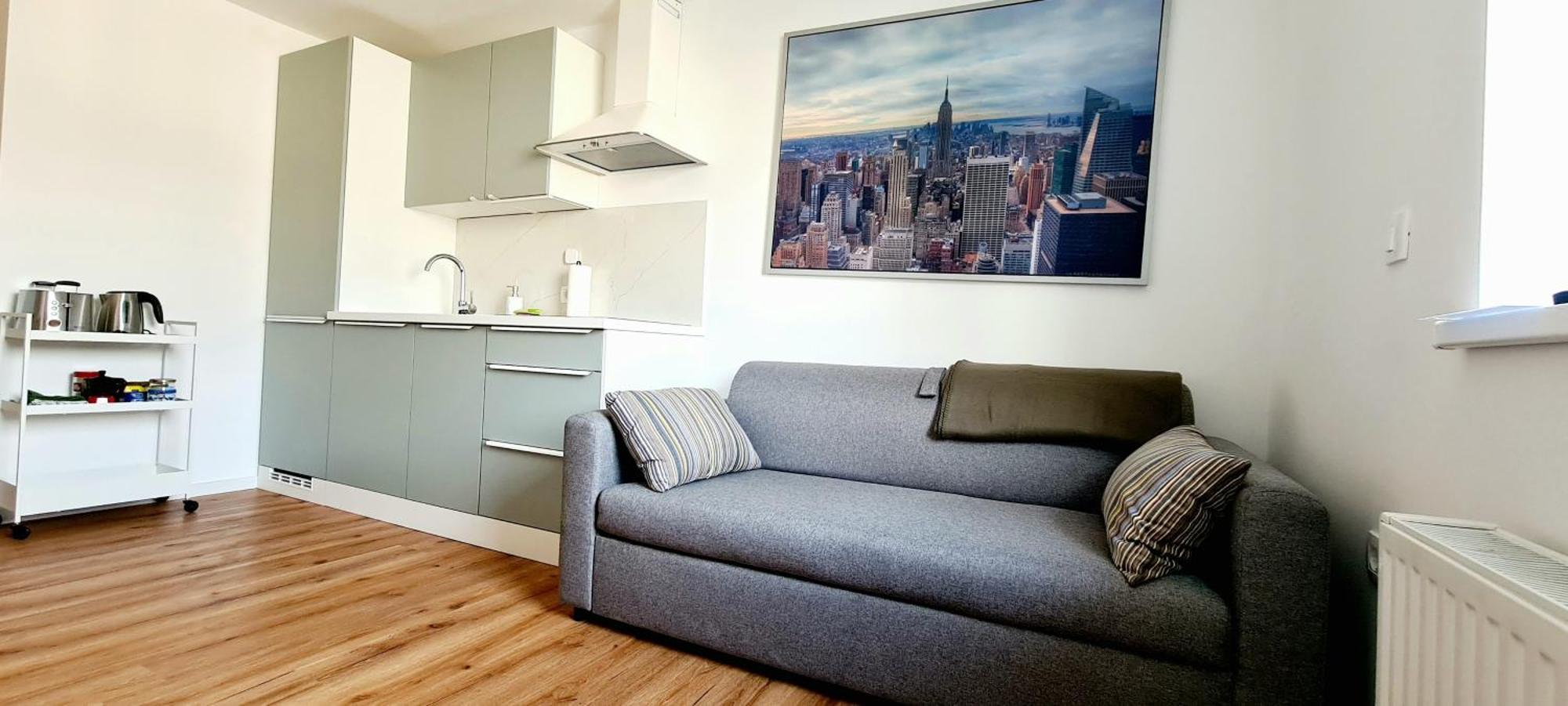 Apartament Little Plaza Duplex Lublana Zewnętrze zdjęcie